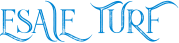 esaieturf